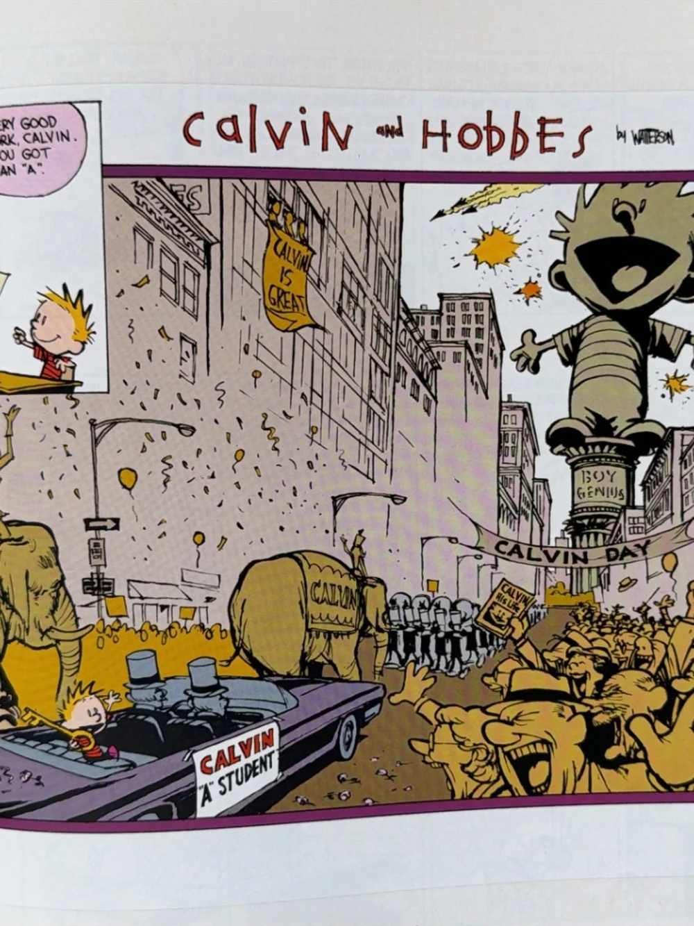 The Complete Calvin And Hobbes Paperback Collection Box Set by Bill Watterson!